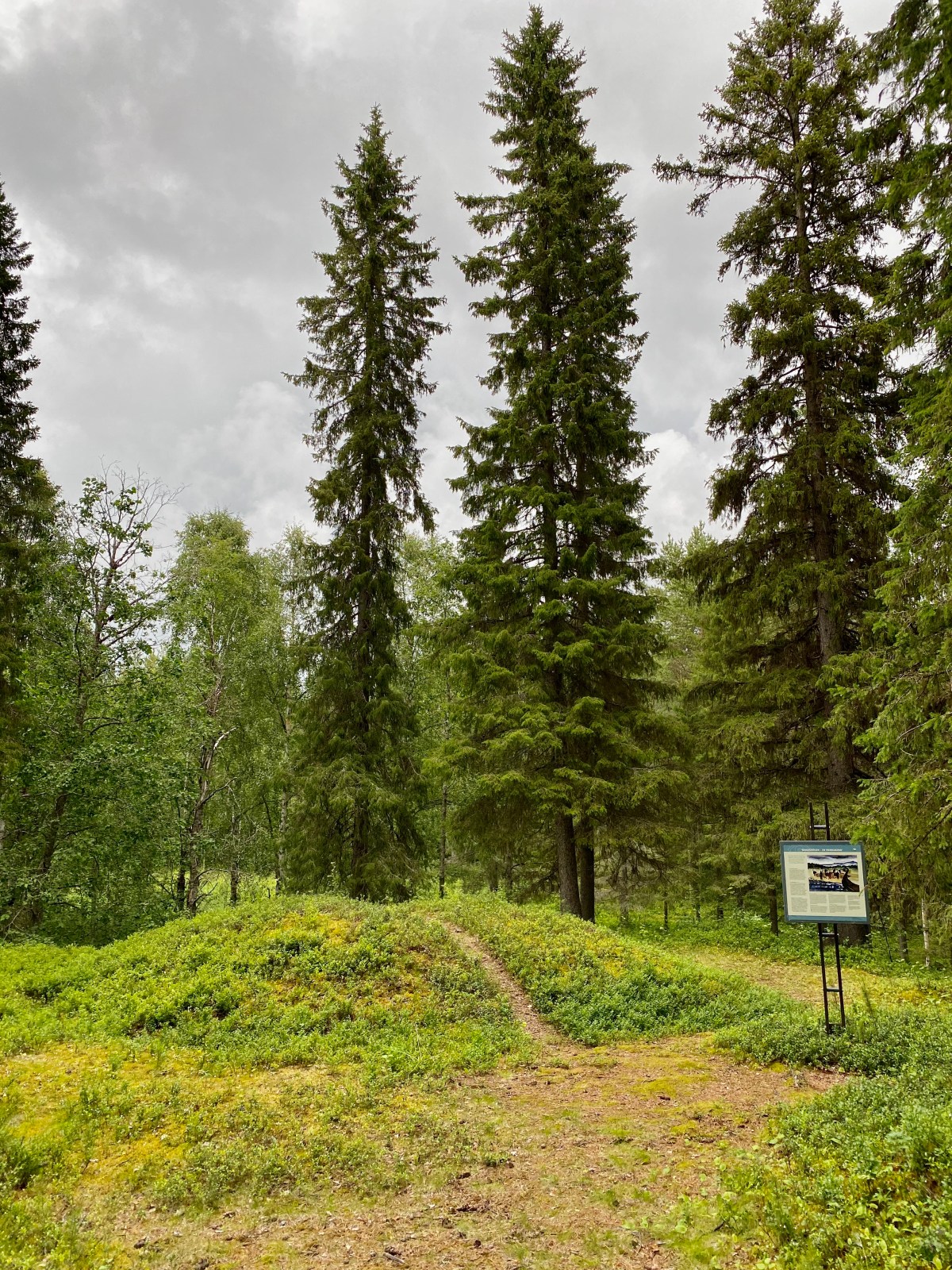 Sangishögen – en ovanlig gravform i&nbsp;Norrbotten